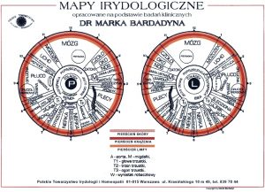 Mapy irydologiczne dr Marka Bardadyna